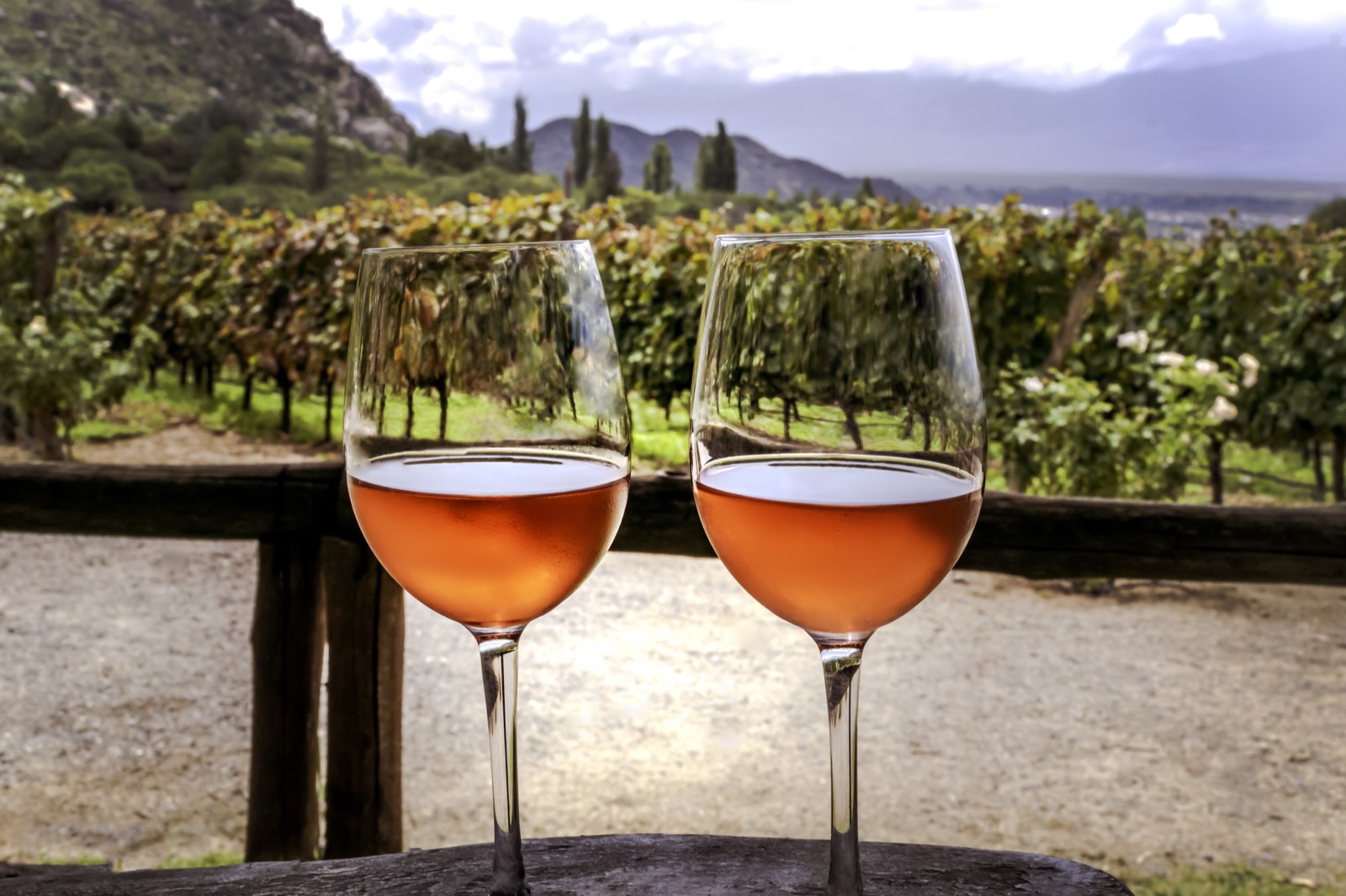 Two glasses of wine on a barrel above the vineyards at Cafayate
