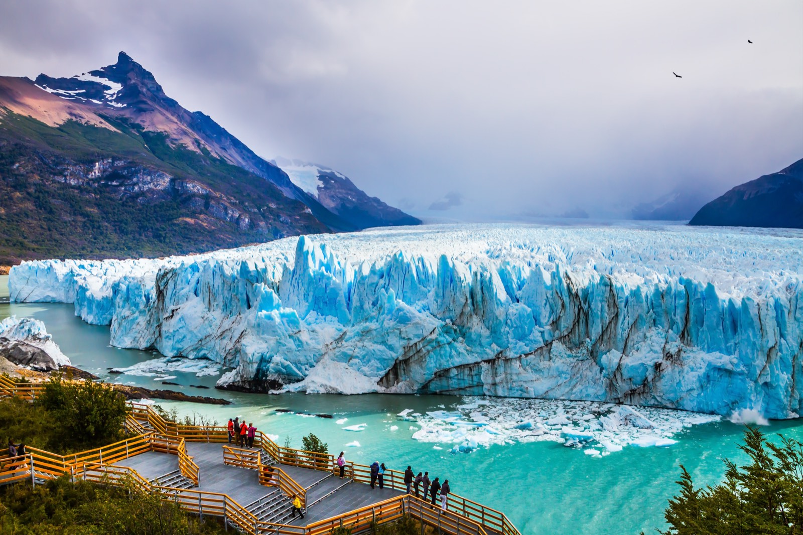 The blue ice front of the Perito Moreno glacier seen from the boardwalks
